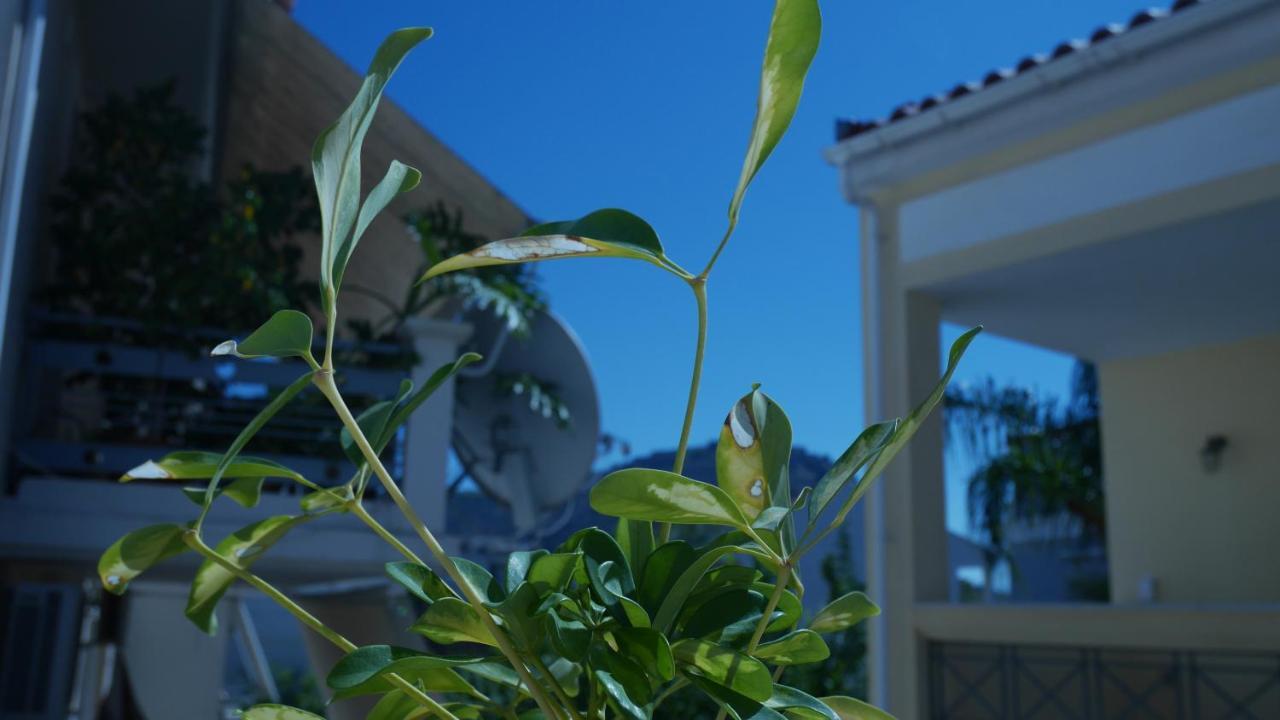 Villa With The View Of Palamidi And Bourtzi Nafplio Exterior foto